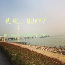 ˫